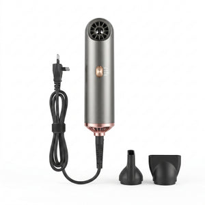 Secador de Pelo Compacto 800W