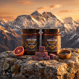 2x Himalayan Shilajit Gummies