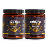 2x Himalayan Shilajit Gummies